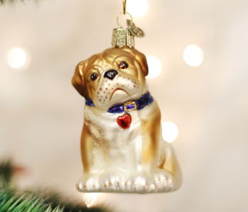 Bull Pup Glass Ornament 12136