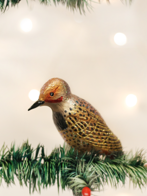 Northern Flicker Bird Glass Ornament 18076