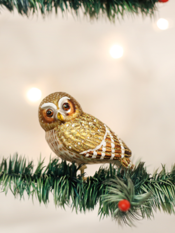 Pygmy Owl Glass Ornament 18067
