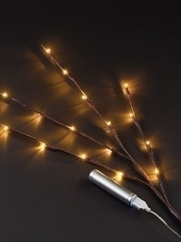 36 "Branch Warm White 16 LED Lights