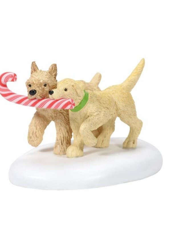 Peppermint Pups - Village Accessories 6005517