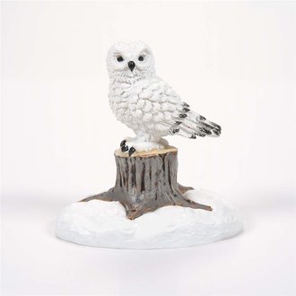 Department 56 White Christmas Owl - Village Accessories 6007676 NEW 2021 Department 56 White Christmas Owl - Village Accessories 6007676 NEW 2021