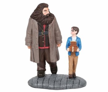 Wizarding Equipment - Harry Potter Village 6005619