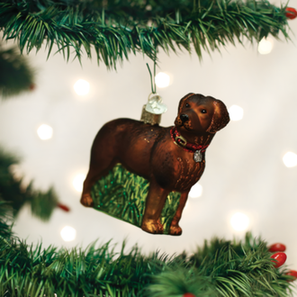 Old World Christmas Standing Chocolate Lab, Glass Ornament Old World Christmas Standing Chocolate Lab, Glass Ornament