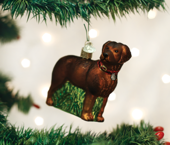 Standing Chocolate Lab, Glass Ornament 12508