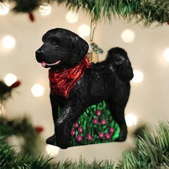 Old World Christmas Black Doodle Dog, Glass Ornament Old World Christmas Black Doodle Dog, Glass Ornament