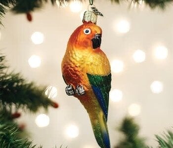 Sun Conure Glass Ornament 16133