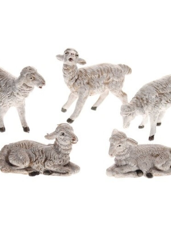 Ensemble de 5 moutons blancs Fontanini 72539