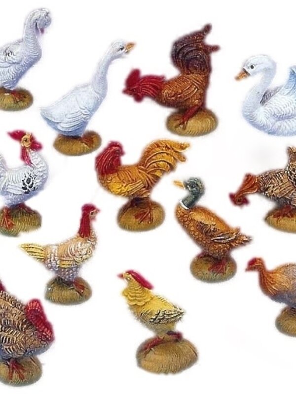 Oiseaux de bassecourt ens 12 pcs Fontanini 51517