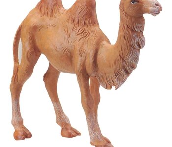 Standing Camel  -  Fontanini 5" Nativity Animal 72683