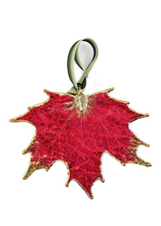 Red Sugar Maple Leaf Ornament with Gold Trim