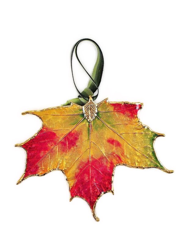 Autumn Colours Sugar Maple Leaf Ornament with Gold Trim