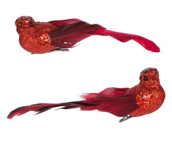 Oiseau rouge 5" sur pince Ass.2