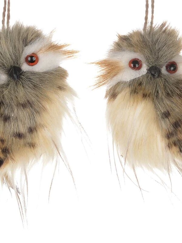 Christmas Traditions 2/A 3X4.5" BRN/GREY OWL ORN