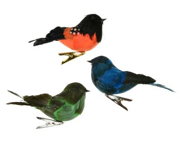 Oiseau vert/bleu/orange sur pince 4.5"