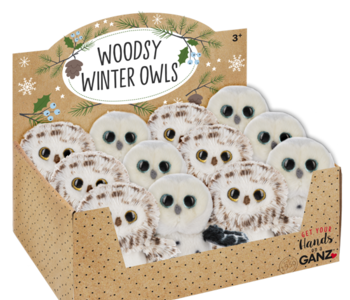 Woodsy Winter Owl Ass.2