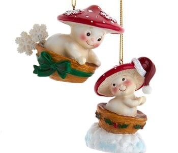2.5"MUSHROOM PLAYNG IN BOWL SLED 2A