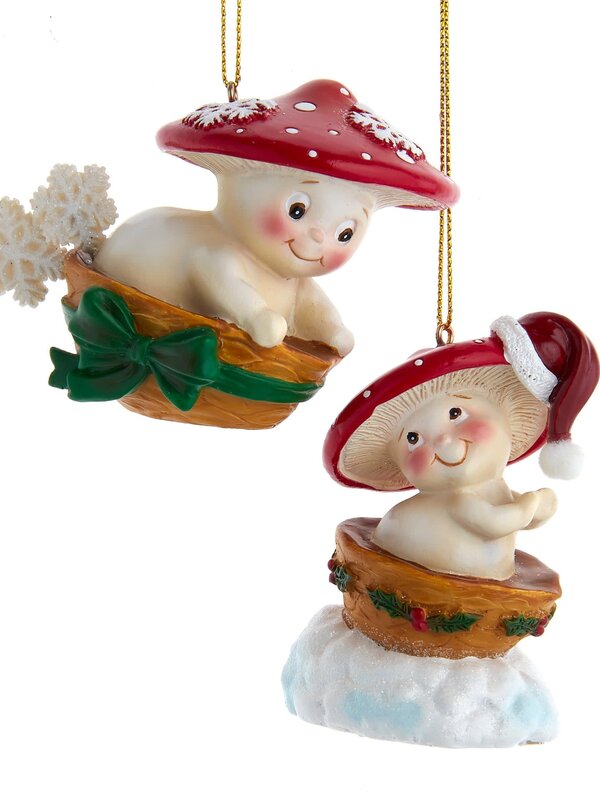 2.5"MUSHROOM PLAYNG IN BOWL SLED 2A