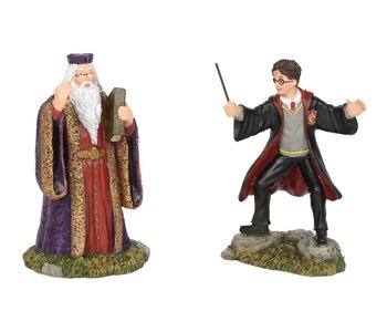 Harry And The Headmaster, Harry Potter Village 6002314