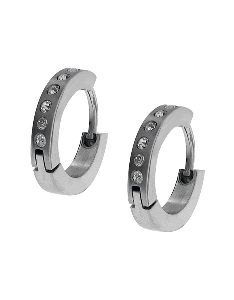 Stainless Steel with 2mm CZ's Huggie Earrings 13mm