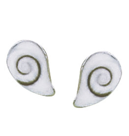 Teardrop Shiva Shell Stud Earrings 9mm