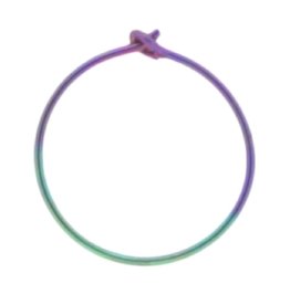 Round Niobium Hoop 13mm