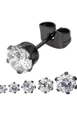 Stainless Steel Black Ion Plated Setting with Round Cubic Zirconia Stud Earrings