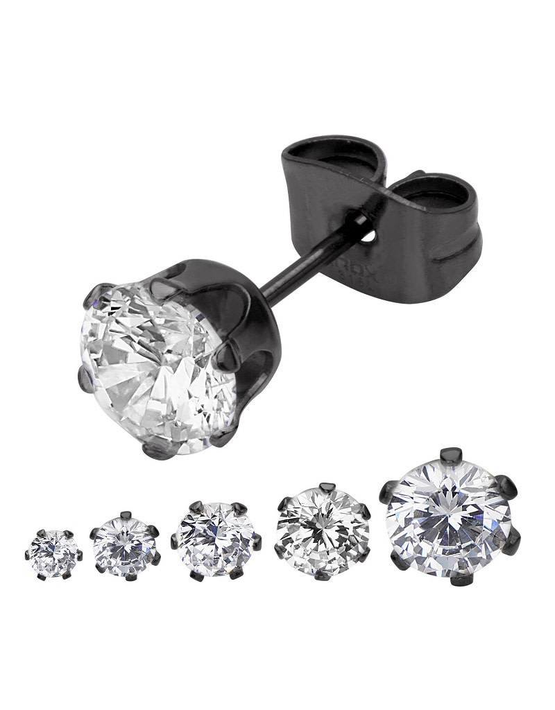 Stainless Steel Black Ion Plated Setting with Round Cubic Zirconia Stud Earrings