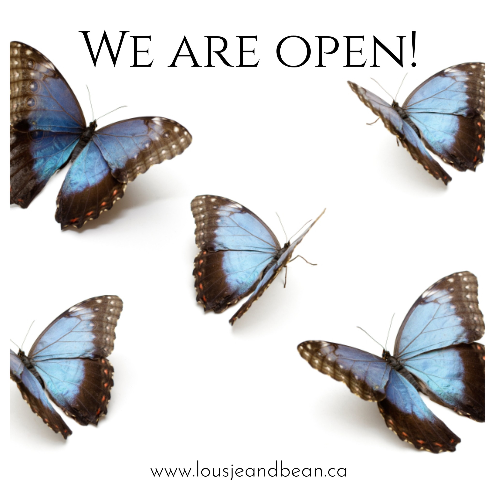 Lousje & Bean's Commitment to you...