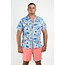 NAUTICA B91000 NAUTICA MENS SHORTS