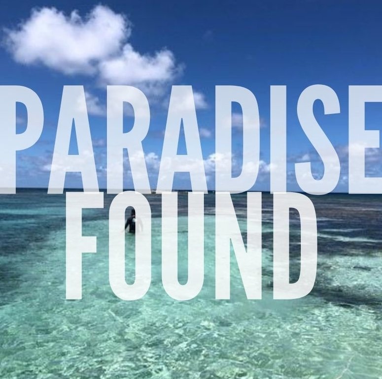 SUNSEAKERS and GINGERLILY ANTIGUA SUNSEAKERS and GINGERLILY