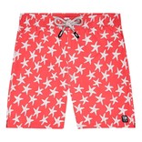 Mens Swim Trunks- 4 Colors Available