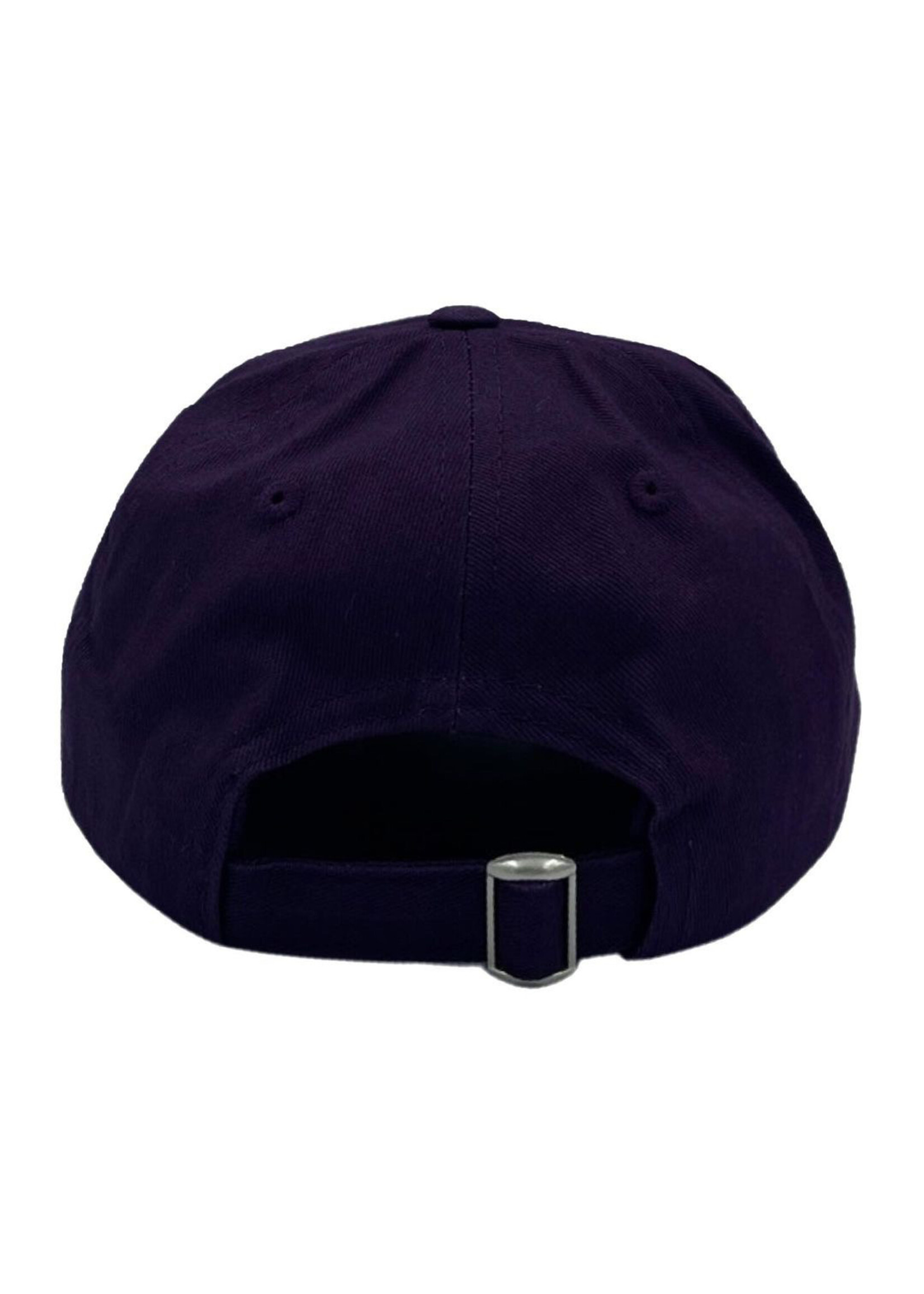 Bits & Bows Bits & Bows Boys Purple TX Hat