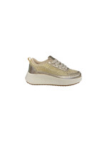 Covey House CH Gold Shimmer Platform Sneaker