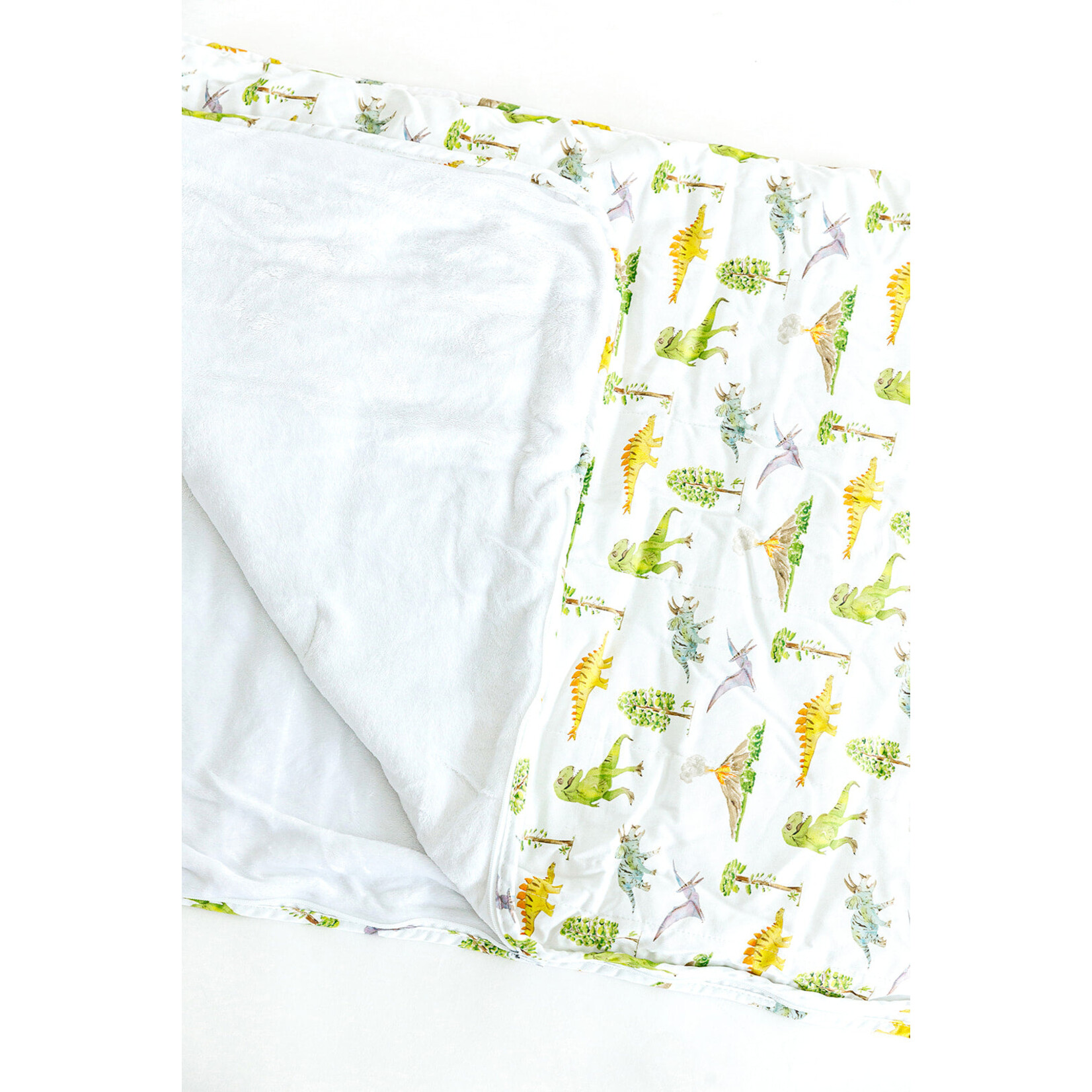 Fort Weekend Fort Weekend Dinosaur Nap Mat