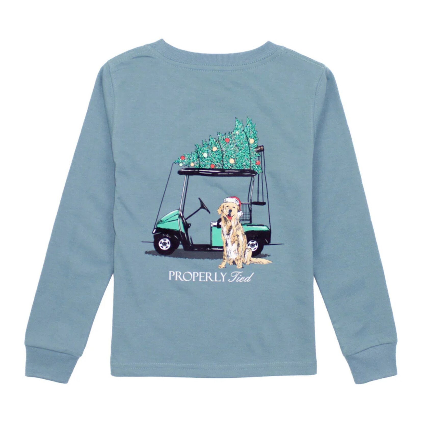 Properly Tied Santas Caddy