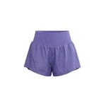 FP Movement FP Movement Graphite Carpi Diem Short