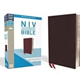 NIV Thinline Bible Red Letter 8792