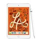 iPad mini Wi-Fi - Cell with the new A12 Bionic chip.