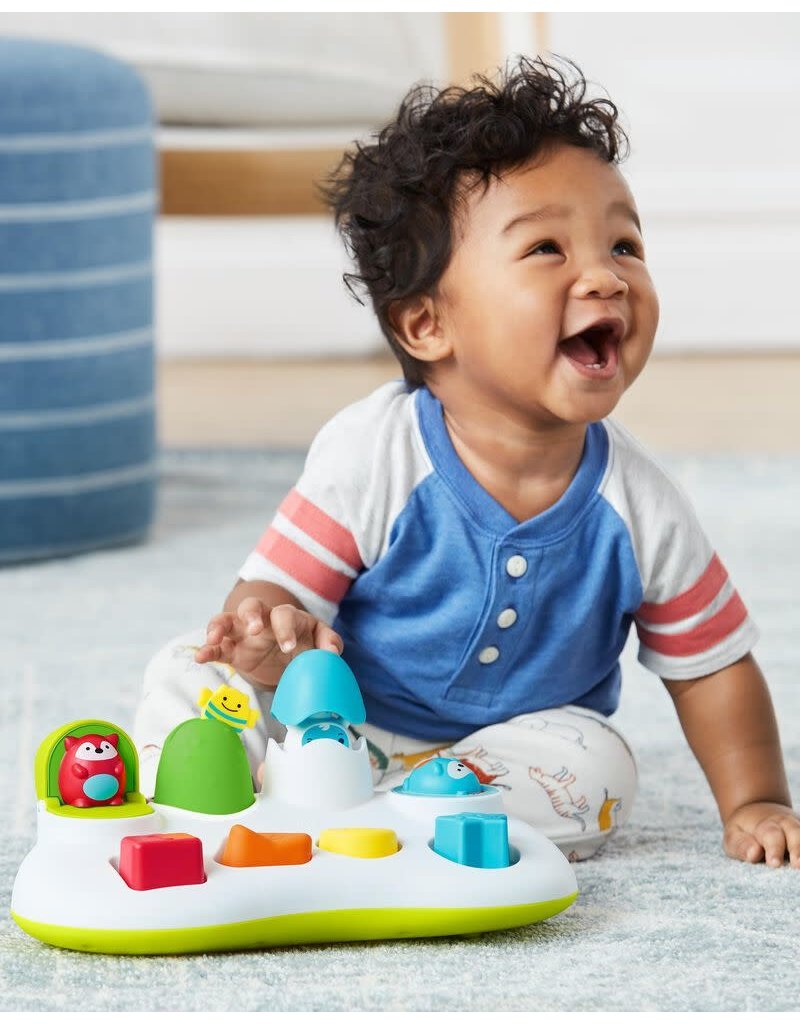 Skip Hop Explore & More Pop-Up Toy