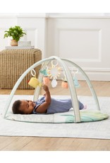 Skip Hop GARDEN OASIS ACTIVITY GYM