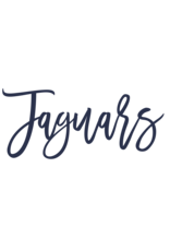 BDK Industries Ladies V-Neck Tee - Navy 2024 TCP Swag