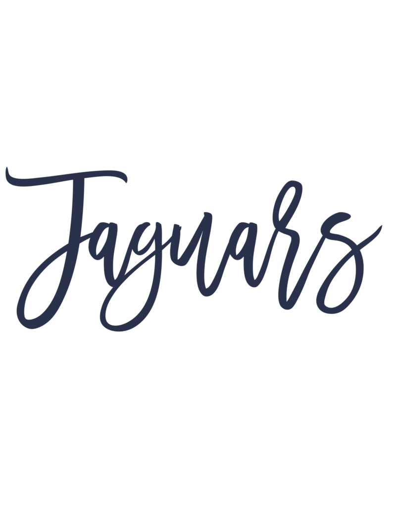 BDK Industries Ladies V-Neck Tee - Navy 2024 TCP Swag