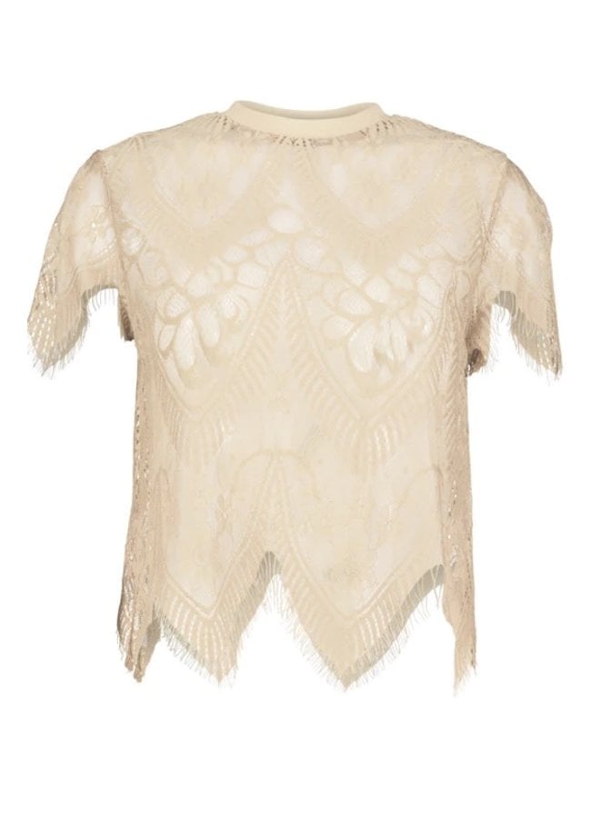 Sheer Lace Tee