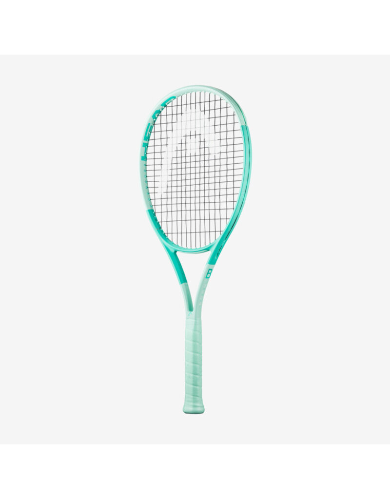 Head Boom Team L 2024 Alternate