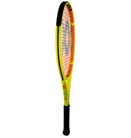 Volkl V-Cell 10 26