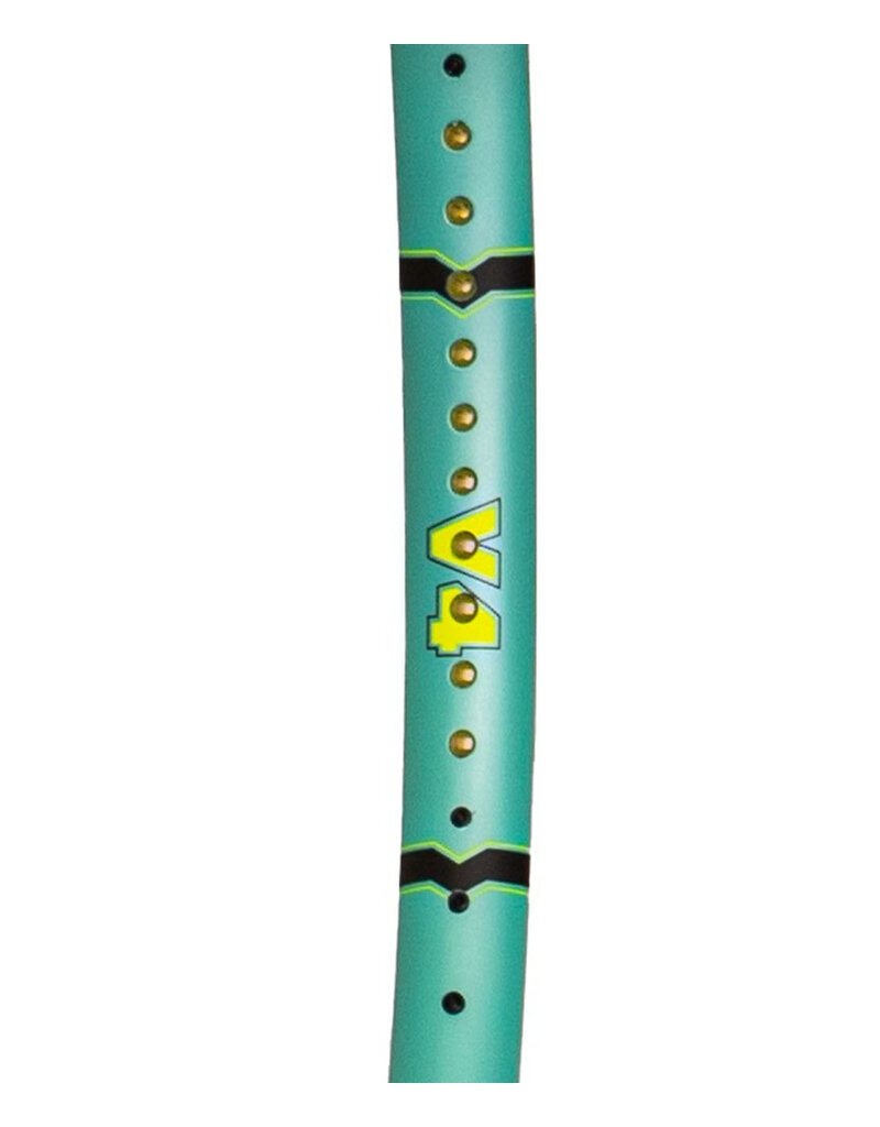 Volkl Vostra V4 1/4