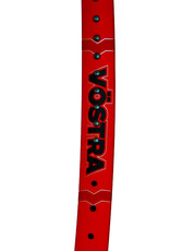 Volkl Vostra V8 300g 1/4