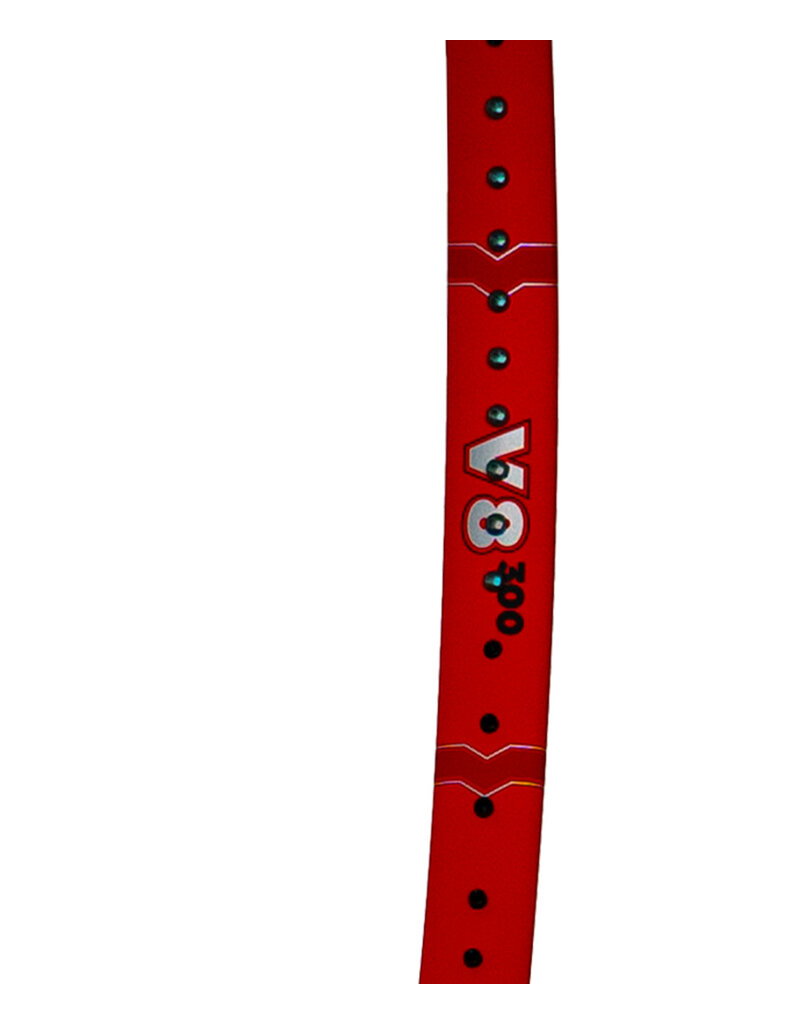 Volkl Vostra V8 300g 1/4