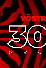 Volkl Vostra V8 300g 1/4